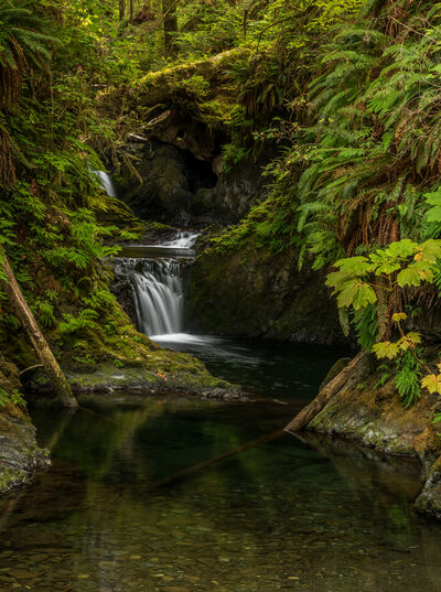 Photo of Willaby Creek Falls - Willaby Creek Falls