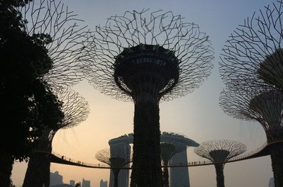 photos of Singapore - Supertree Grove
