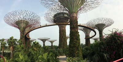 Singapore pictures - Supertree Grove