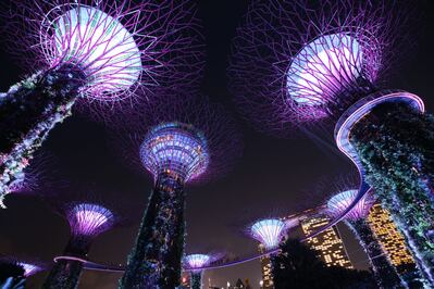 pictures of Singapore - Supertree Grove