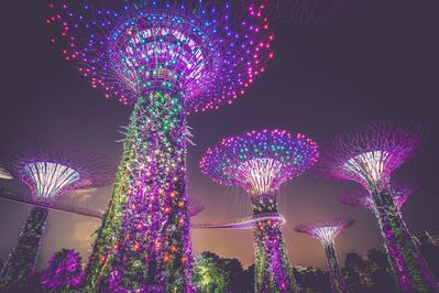 Singapore photos - Supertree Grove