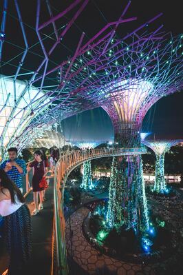 Singapore pictures - Supertree Grove