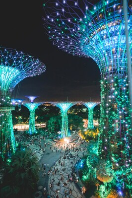 Singapore photos - Supertree Grove