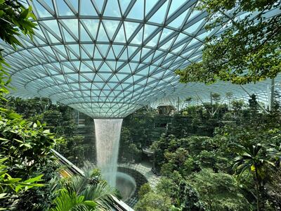 pictures of Singapore - Rain Vortex, Changi Airport