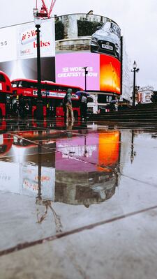 Image of Piccadilly Circus - Piccadilly Circus