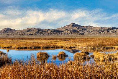 Marsh area with mountains in the background