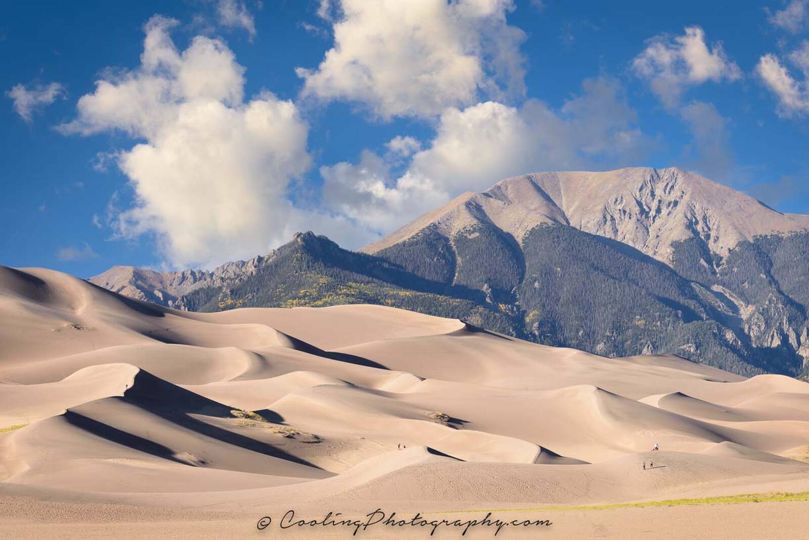 Image of Great Sand Dunes National Park - Dunes by norm cooling