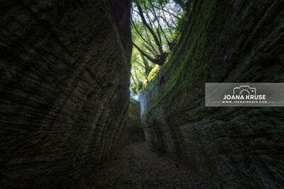 The enigmatic Vie Cave, a series of Etruscan tunnels carved into the tuff cliffs of Sovana, an ancient town in Tuscany. 