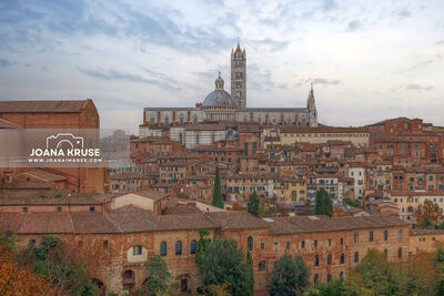 photos of Tuscany - Duomo di Siena West View
