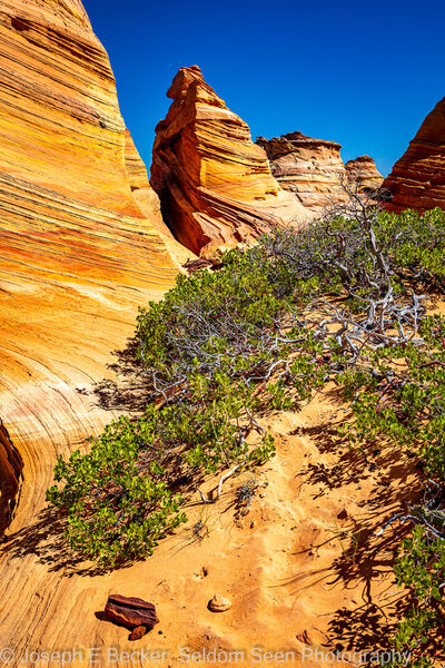 Photo of South Coyote Buttes - Southern Wave - South Coyote Buttes - Southern Wave