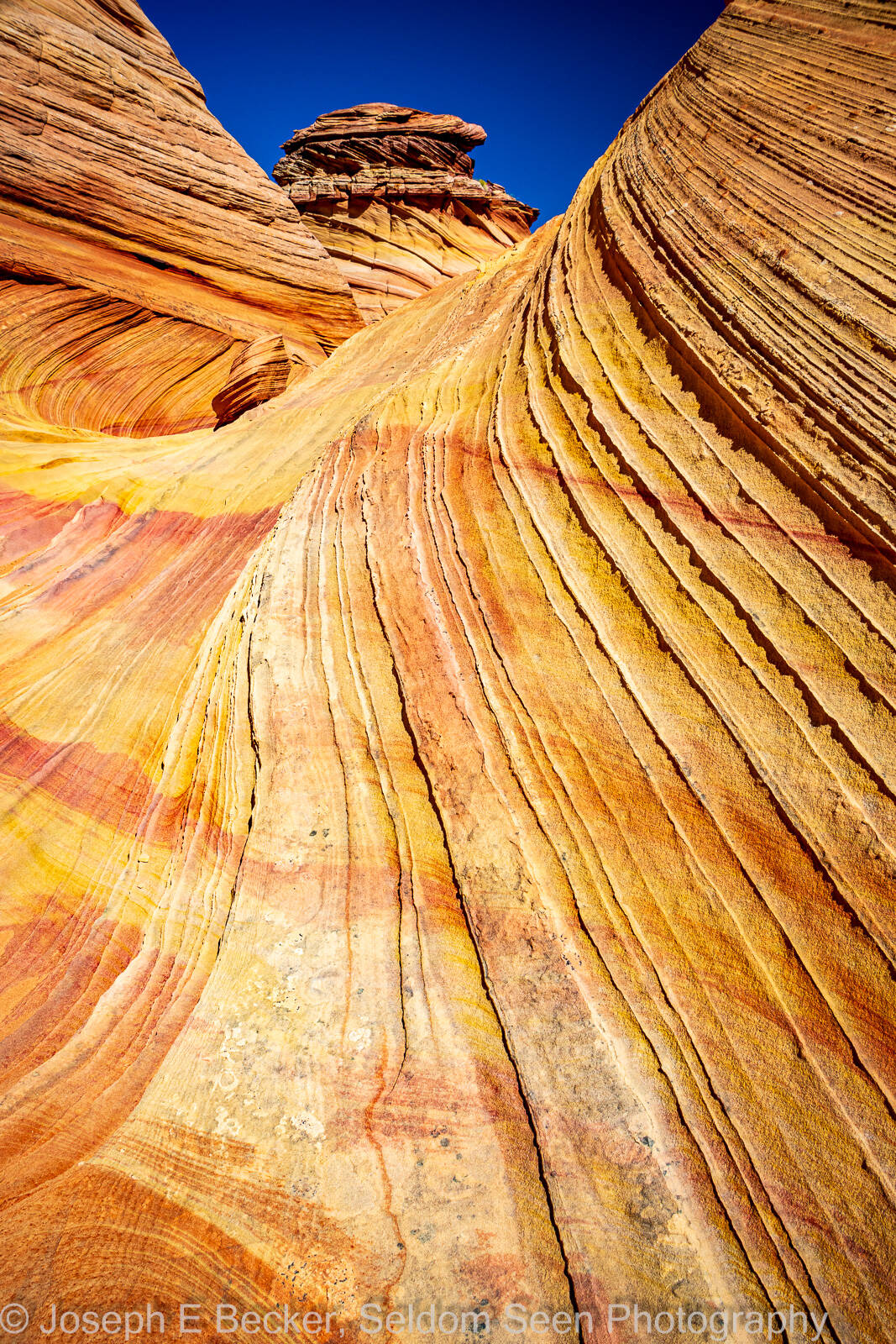 Image of South Coyote Buttes - Southern Wave by Joe Becker