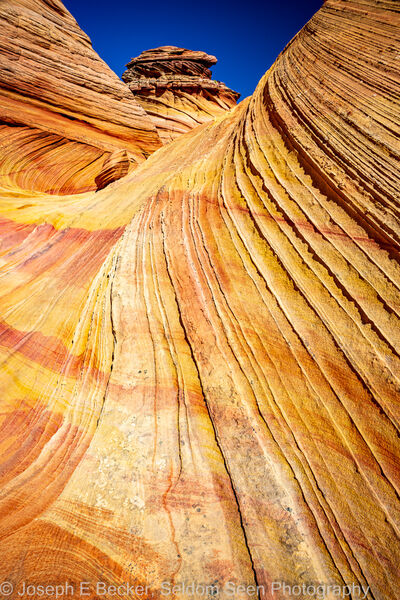 Picture of South Coyote Buttes - Southern Wave - South Coyote Buttes - Southern Wave