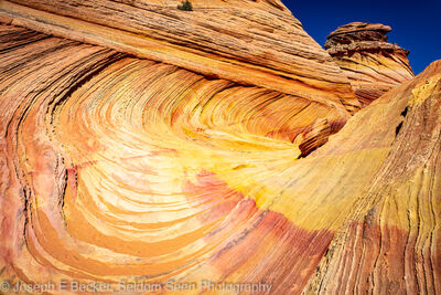 Image of South Coyote Buttes - Southern Wave - South Coyote Buttes - Southern Wave