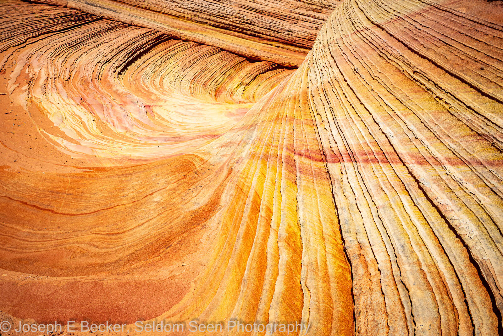 Image of South Coyote Buttes - Southern Wave by Joe Becker