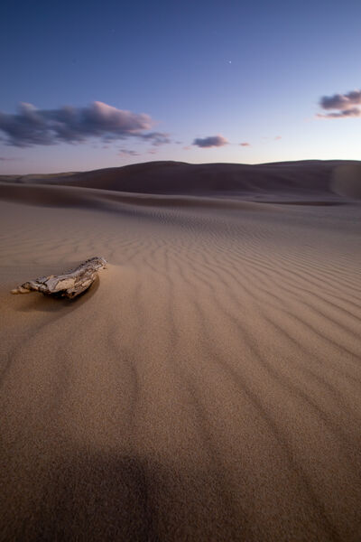 Sunset. A piece of driftwood gradually moving and being pushed by the drifting sands.