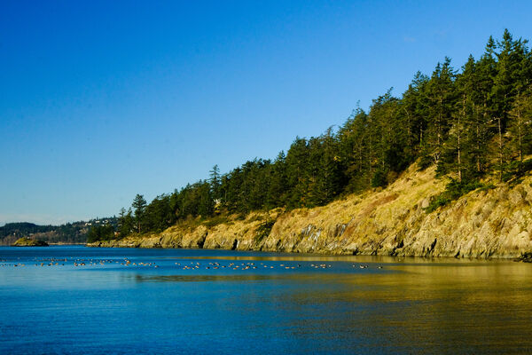 The river La Conner is on feeds into Puget Sound, there there are a variety of shore shots available here as well.