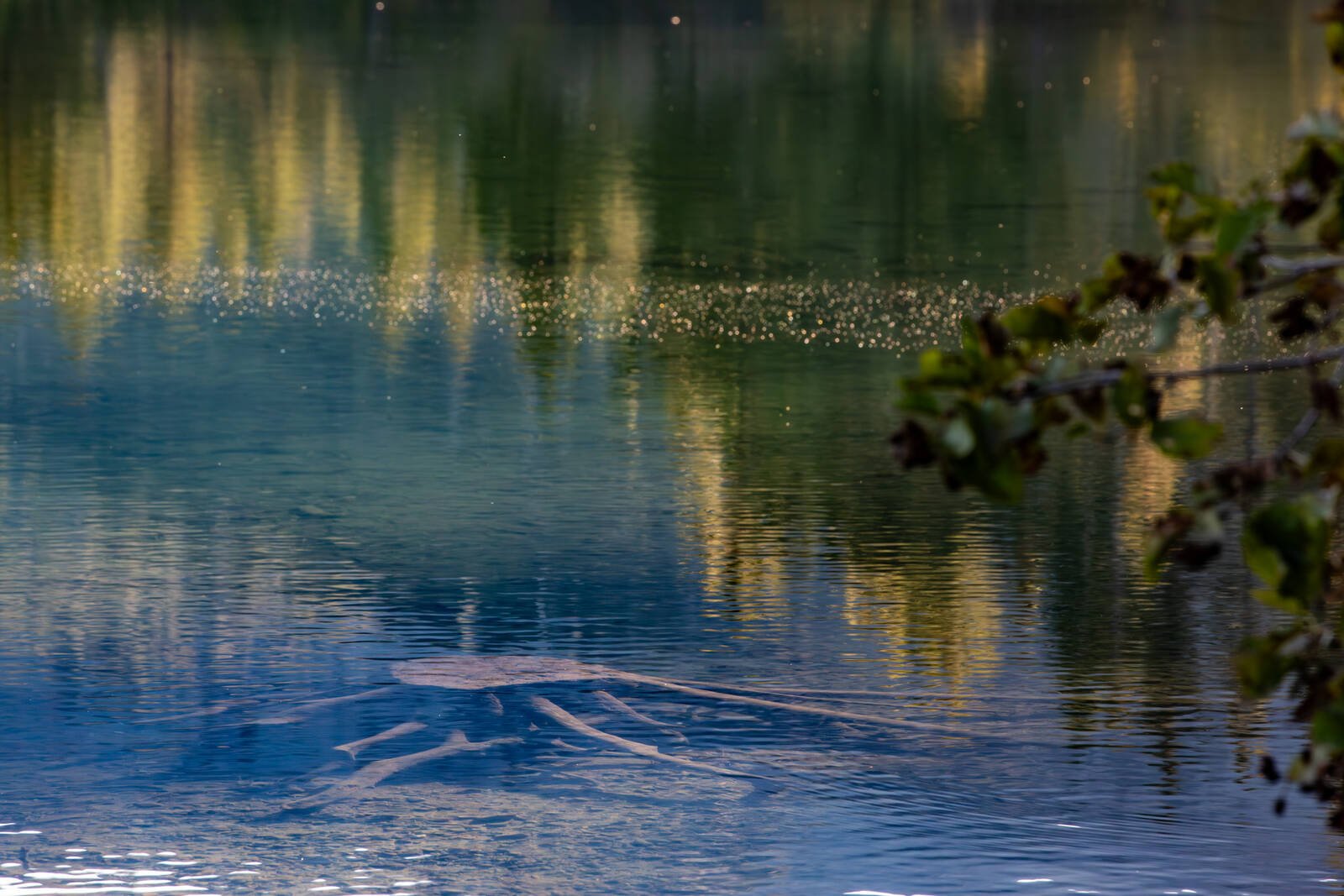 Image of Fallen Leaf Lake by Karen Schmautz