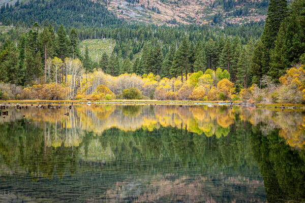 Crystal Clear water and beautiful reflections of fall leaves against the backdrop of mountains soaring up toe 10,000 feet above sea level.