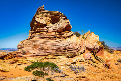 Picture of South Coyote Buttes - Control Tower - South Coyote Buttes - Control Tower