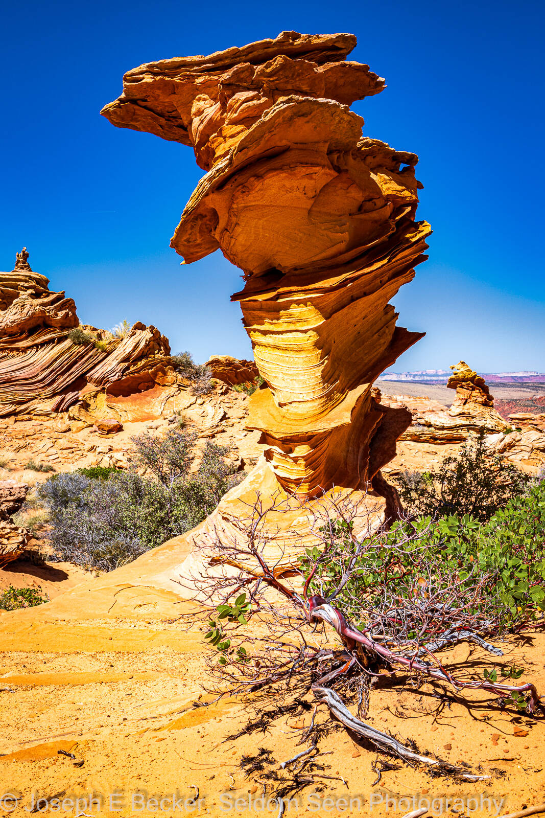 Image of South Coyote Buttes - Control Tower by Joe Becker