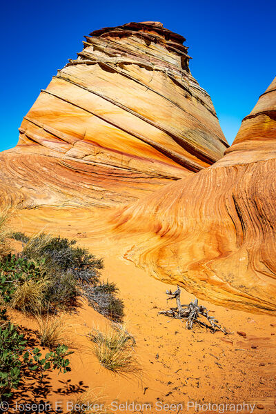 Photo of South Coyote Buttes - Purple Stripe - South Coyote Buttes - Purple Stripe