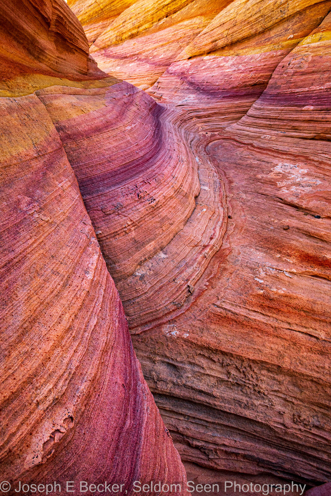 Image of South Coyote Buttes - Purple Stripe by Joe Becker