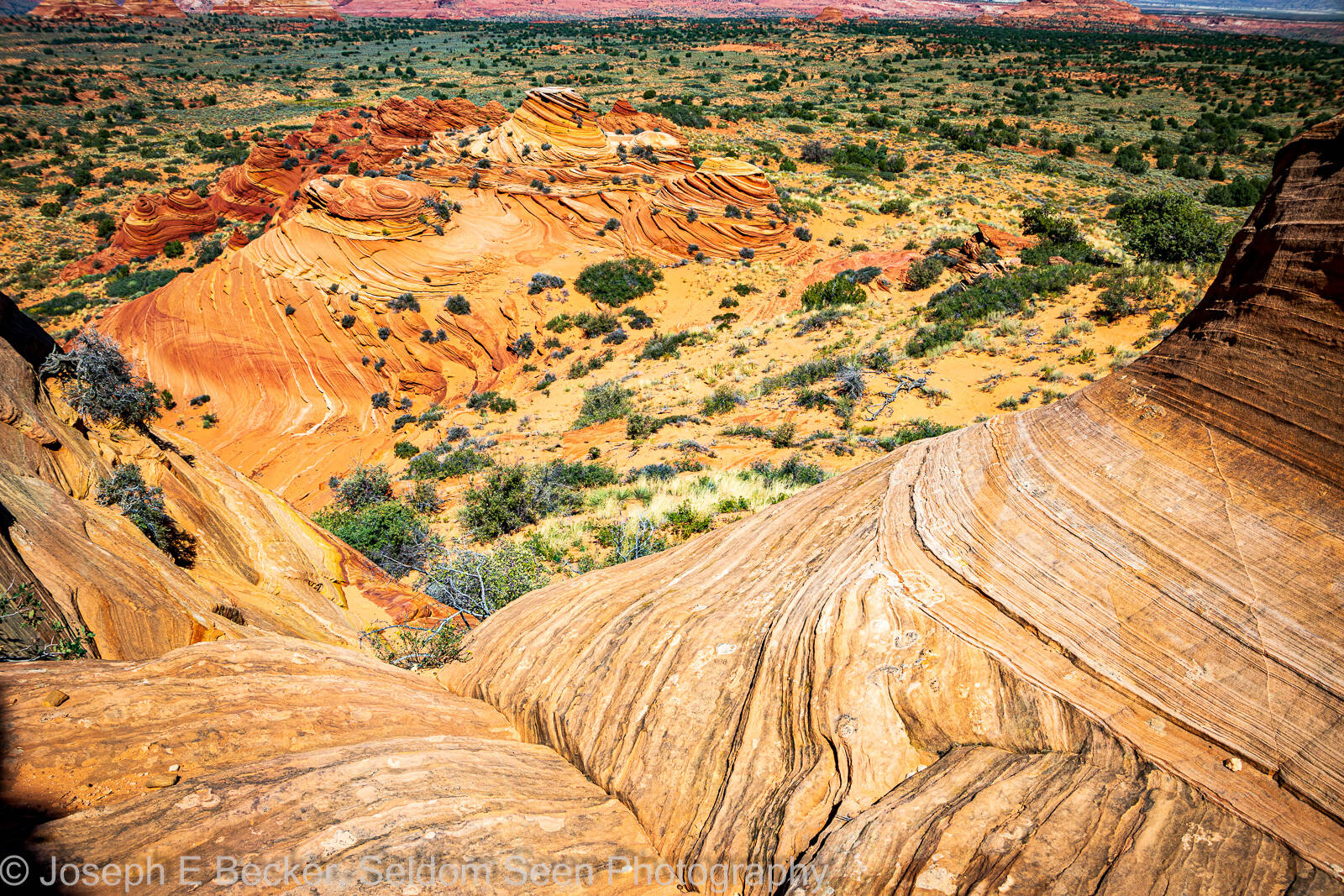 Image of South Coyote Buttes - Purple Stripe by Joe Becker