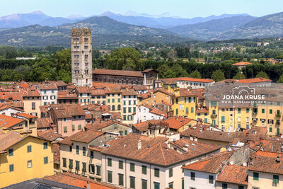 photos of Italy - View from Guinigi Tower