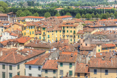 pictures of Italy - View from Guinigi Tower