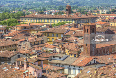 Italy photos - View from Guinigi Tower