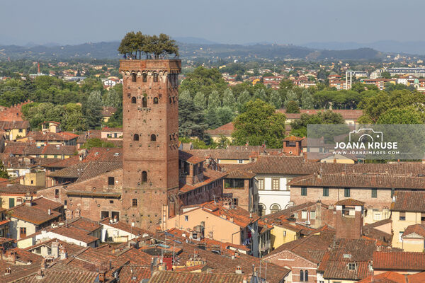 One of the highlights of visiting the Torre delle Ore is the fantastic view from the top. 