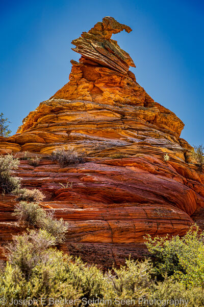 Image of South Coyote Buttes - Witch's Hat - South Coyote Buttes - Witch's Hat