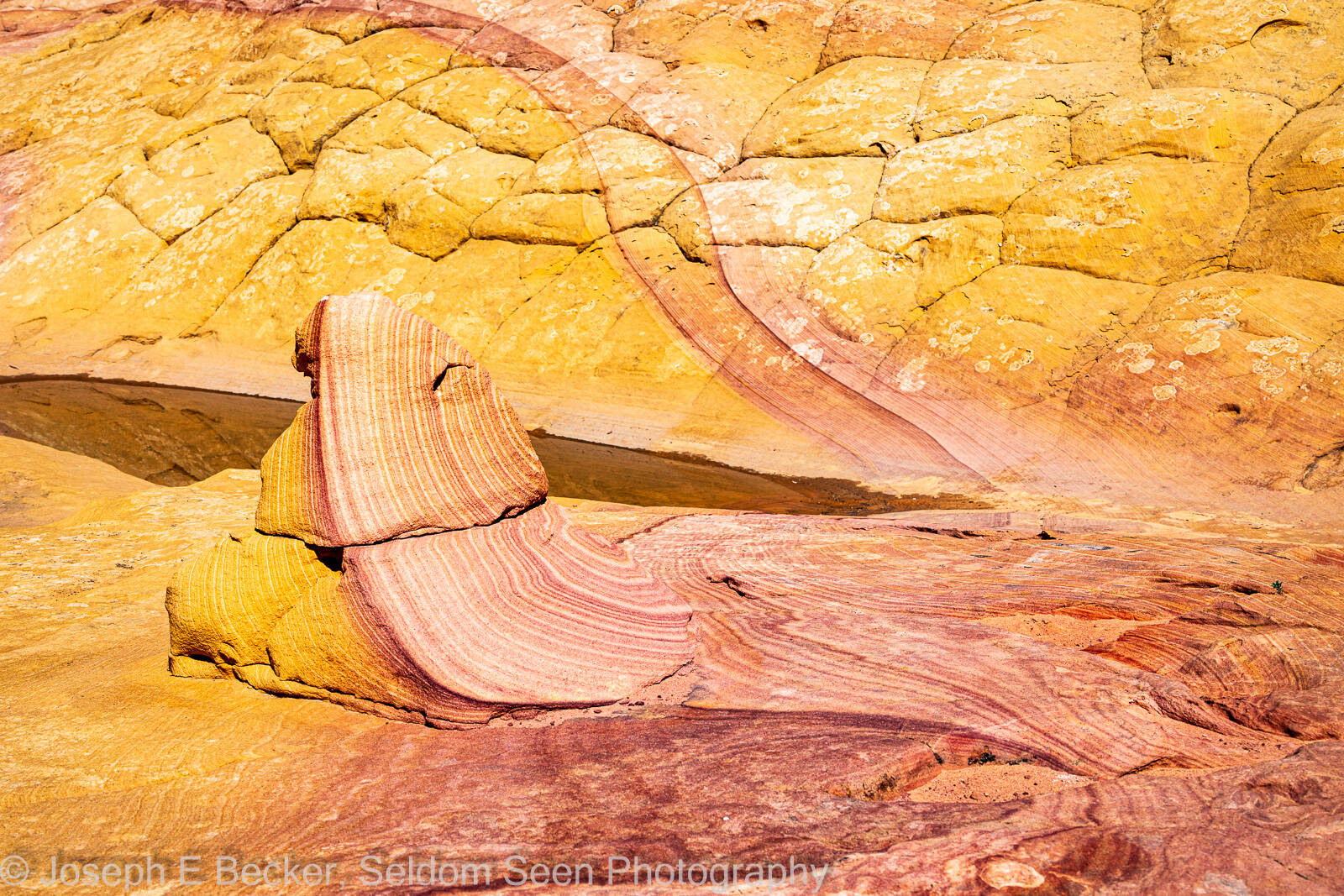 Image of South Coyote Buttes - Half and Half Rock by Joe Becker