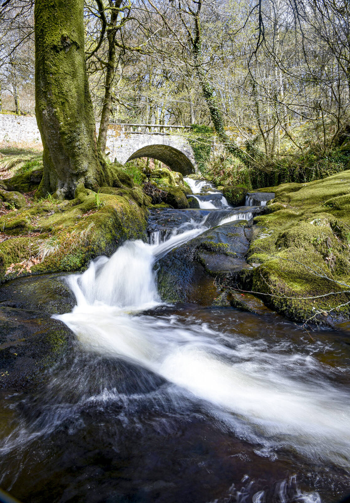 Image of Cloghleagh Cascade by Jill Shepherd
