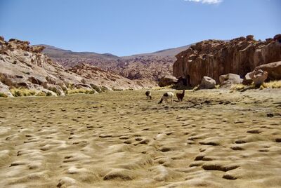 pictures of Bolivia - Laguna Negra 