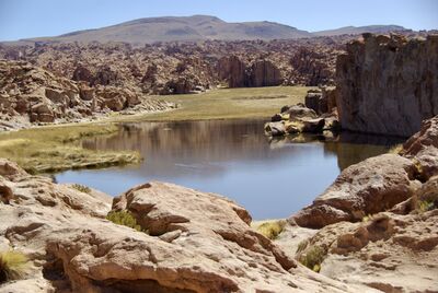 Bolivia images - Laguna Negra 
