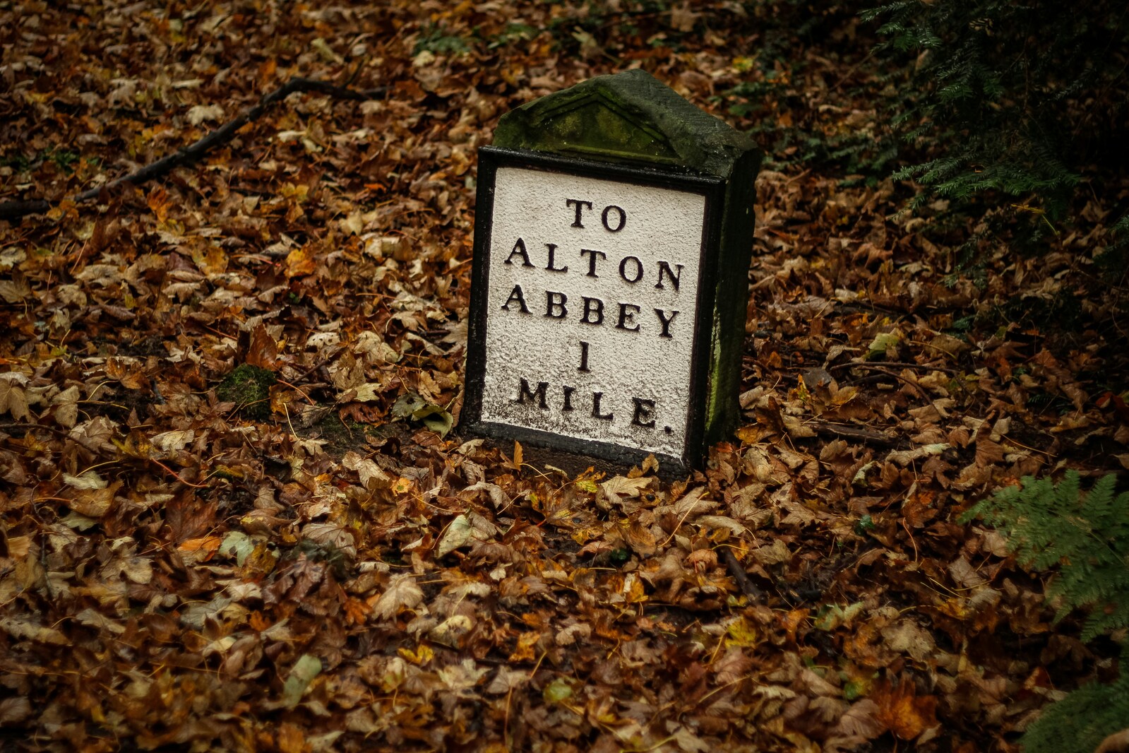 Image of Alton Towers by Team PhotoHound