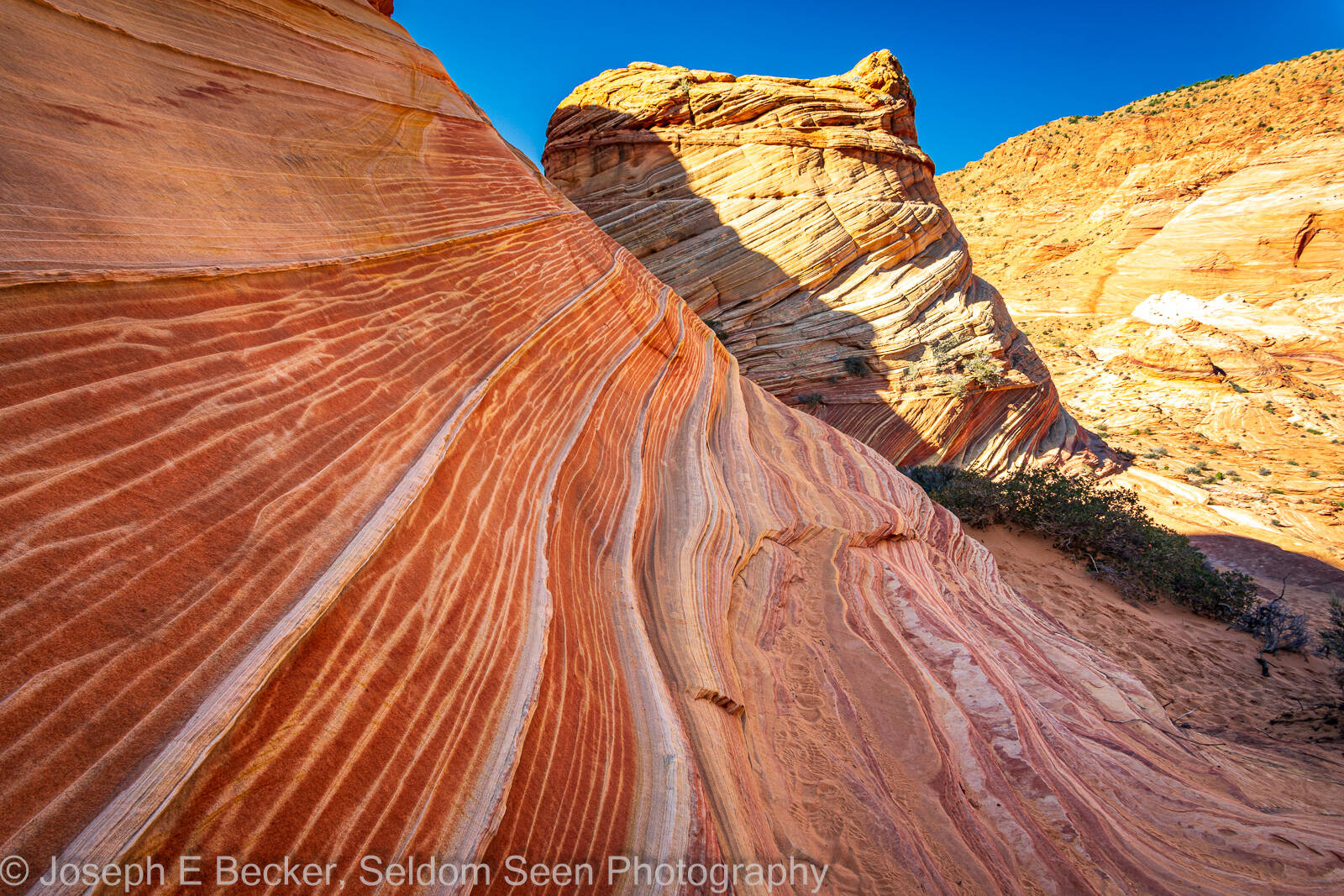Image of Coyote Buttes North - West Corridor by Joe Becker
