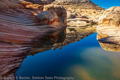 Image of Coyote Buttes North - Brainrocks & Waterpools - Coyote Buttes North - Brainrocks & Waterpools