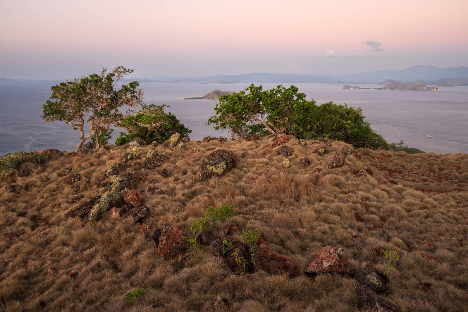 Image of Komodo National Park - Pulau Sebayur Besar by Luka Esenko