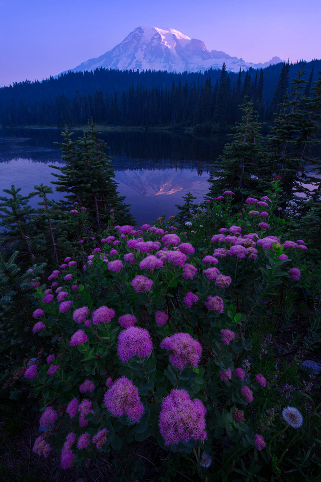 Reflection Lakes, Mount Rainier National Park