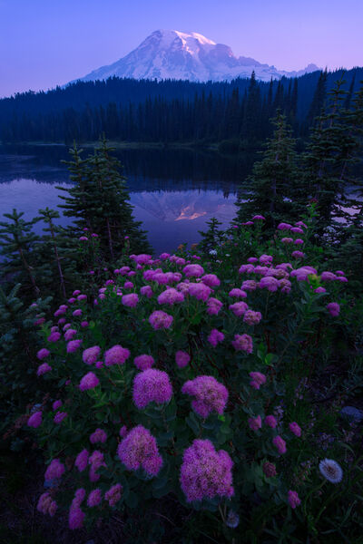 pictures of Mount Rainier National Park - Reflection Lakes, Mount Rainier National Park