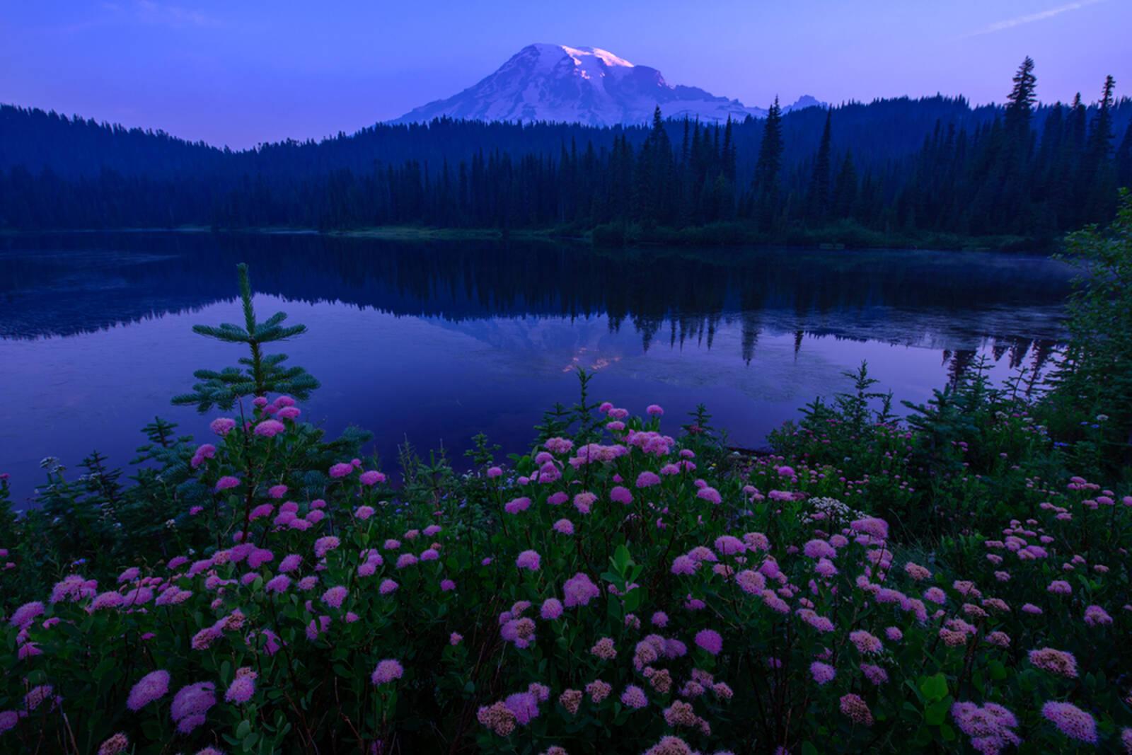 Image of Reflection Lakes, Mount Rainier National Park by Yu Sheng