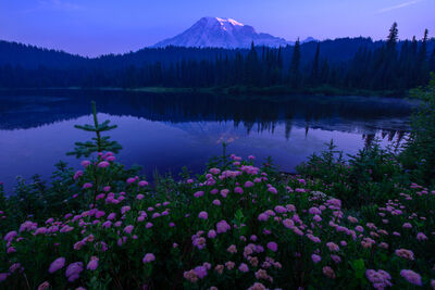 photos of Mount Rainier National Park - Reflection Lakes, Mount Rainier National Park