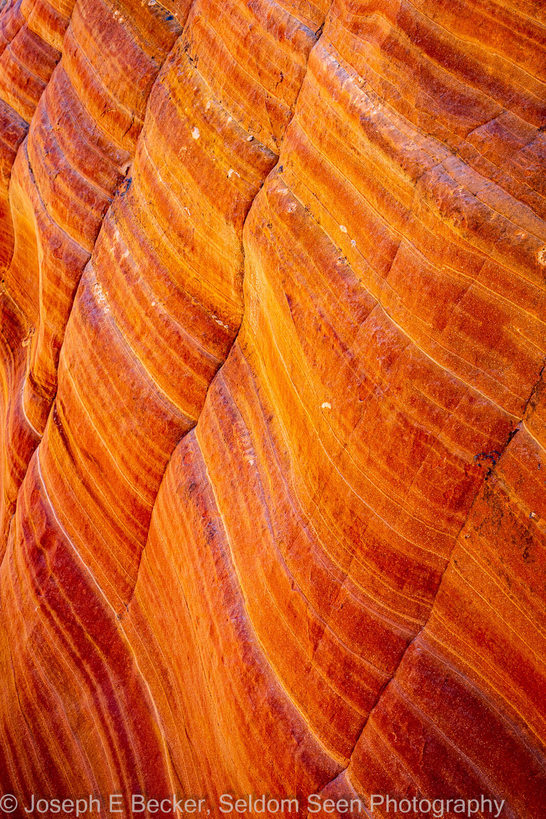 Image of Big Horn Canyon - Main Fork by Joe Becker