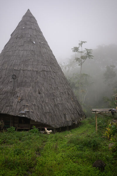 photos of Indonesia - Todo Traditional Village