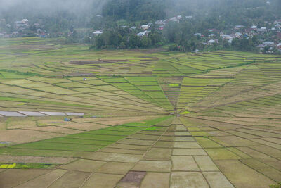 photography spots in Indonesia - Cancar Spider Web Rice Fields