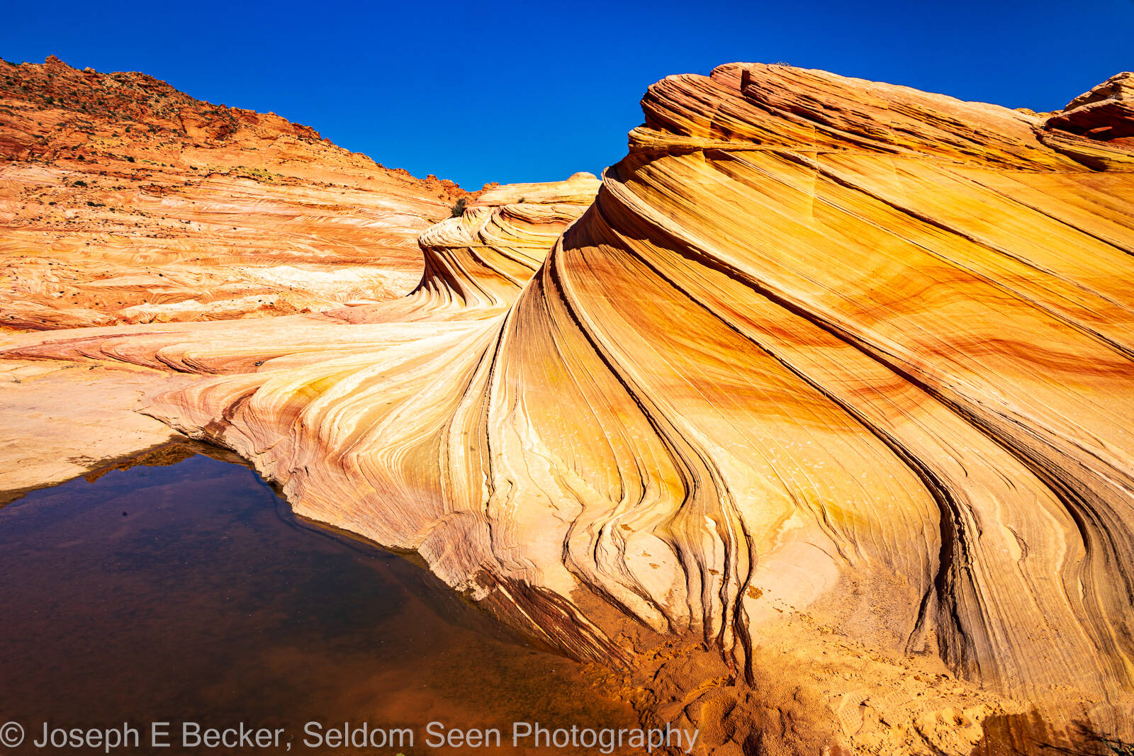 Image of Coyote Buttes North - The Second Wave by Joe Becker