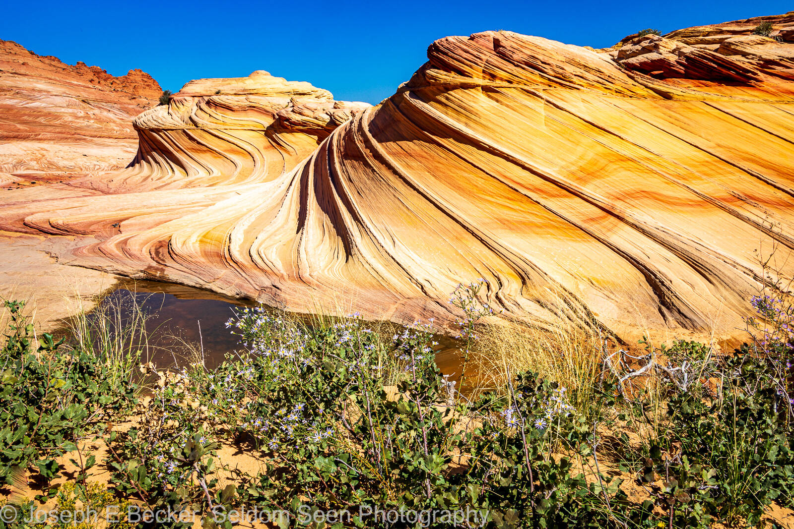 Image of Coyote Buttes North - The Second Wave by Joe Becker