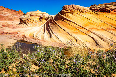photos of Coyote Buttes North & The Wave - Coyote Buttes North - The Second Wave